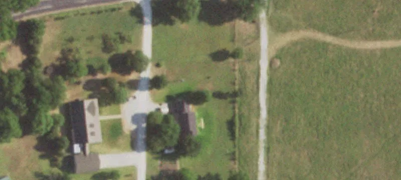 Improved Pasture with Pecan Trees