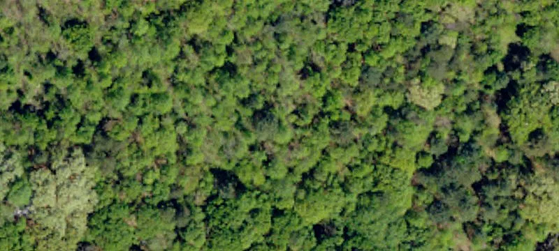 Industrial Land Tract