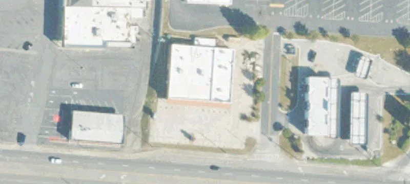 ICWG Absolute Triple-Net Property