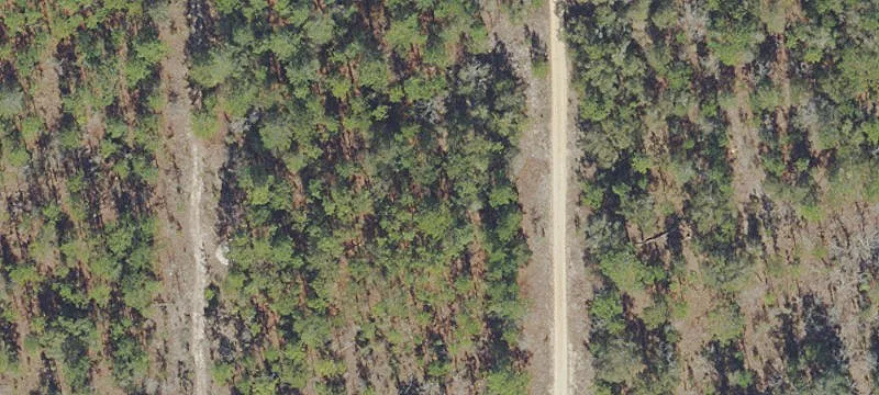 Residential Home Site with Power Nearby
