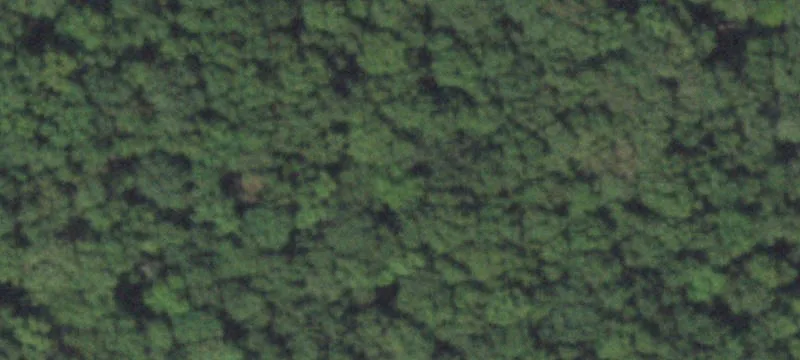 Prime Tillable Farmland Tract
