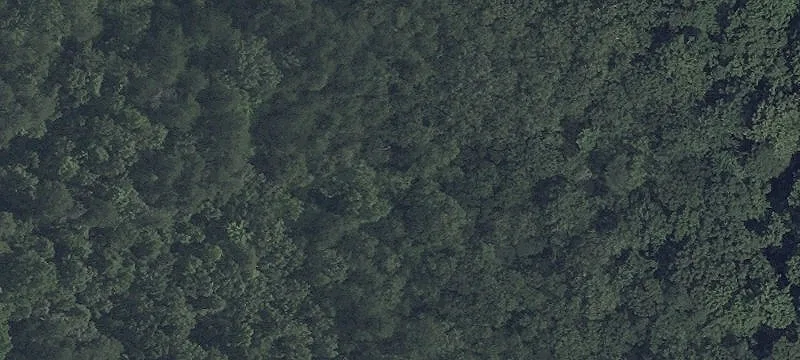 Zoned Multi-Lot Residential Land