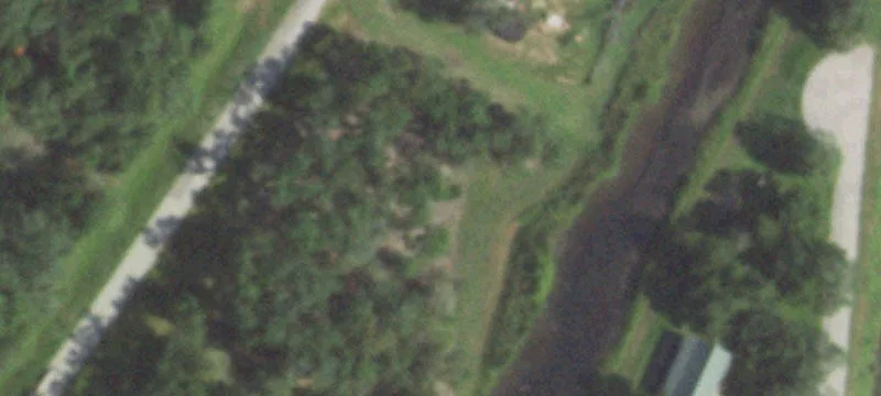 Residential Homesite with Partial Clearing