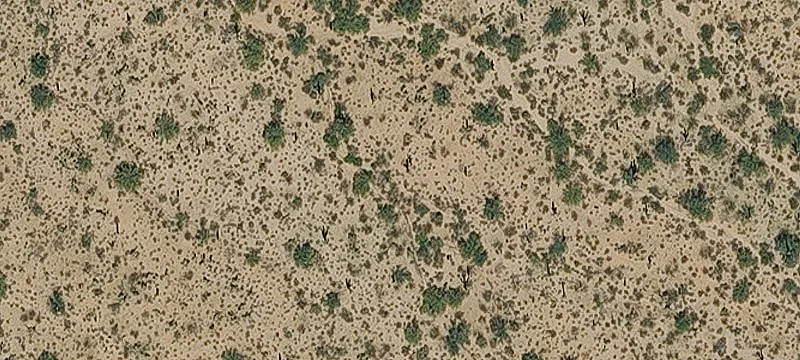 Desert Land Homesite Opportunity
