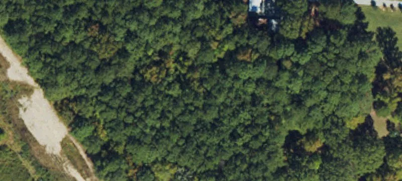 Rural Land Lot with Woodline
