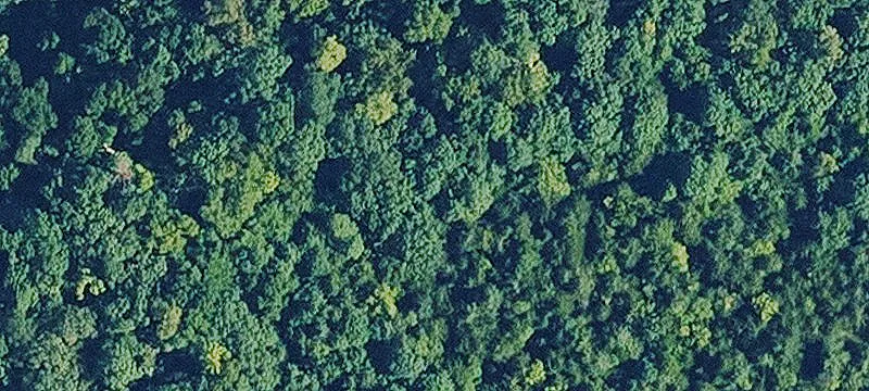 Lake-Adjacent Residential Build Lot