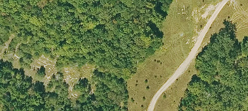 Wooded Residential Land Lot