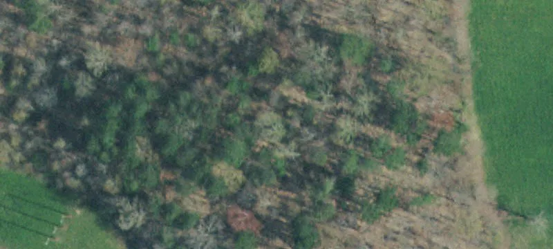Unrestricted Land Parcel