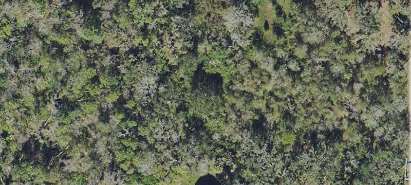 Specialty Property Land Tract