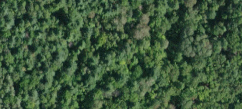 Corner Home-Building Lots