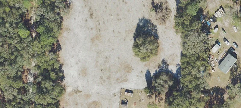 Partially Cleared Agricultural Land