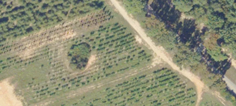 Nursery and Garden Center Land
