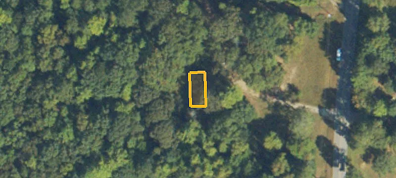 Estate Lot with Hardwood Stand