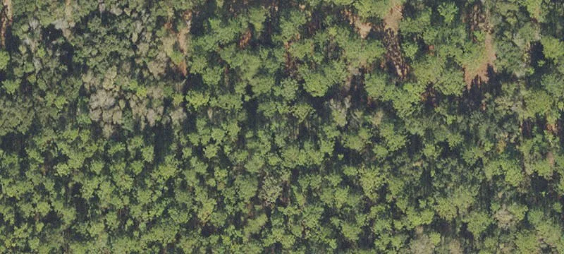 Residential Development Land Tracts