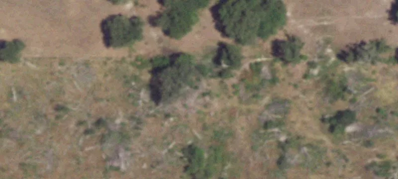 Agricultural Land for Sale