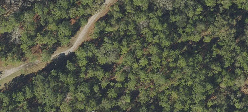 Cleared Residential Lot