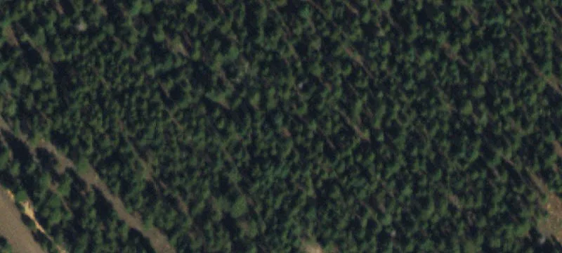 Mountain Estate Land Site