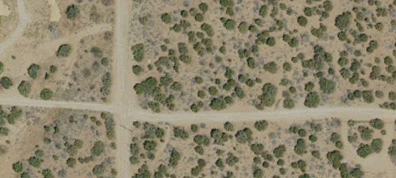 Heavy Agricultural Buildable Lot