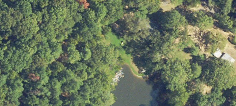 Wooded Hunting Land Tract