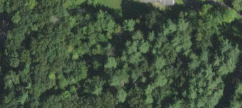 Wooded Residential Development Land