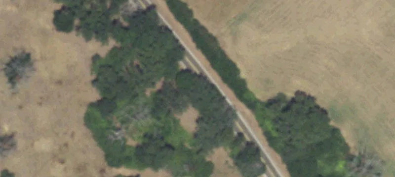 Ag-Exempt Equestrian Ranch Property