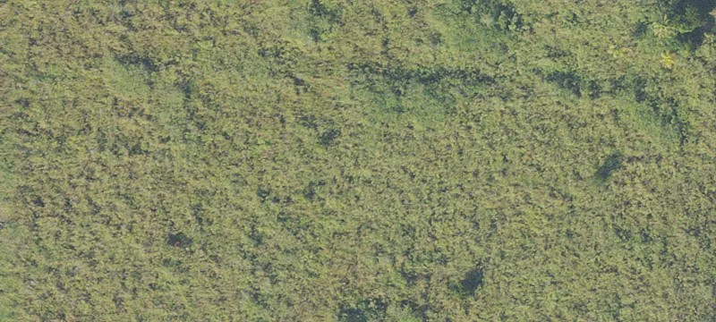 Vacant Agricultural Land
