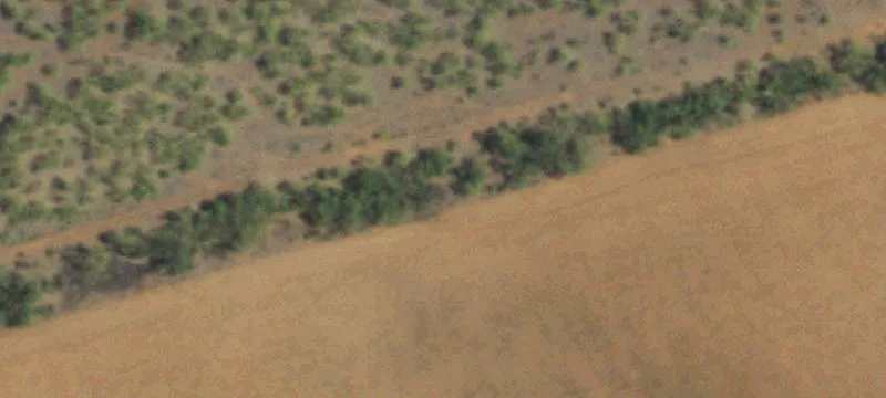 Fully Fenced Ranch & Hunting Land