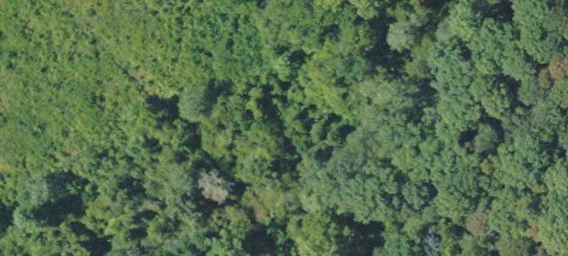 Riverfront Hunting Estate