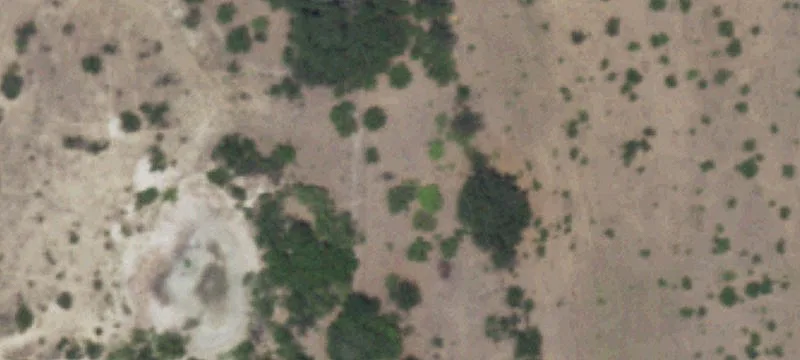 Ranch Land with Mesquite Trees