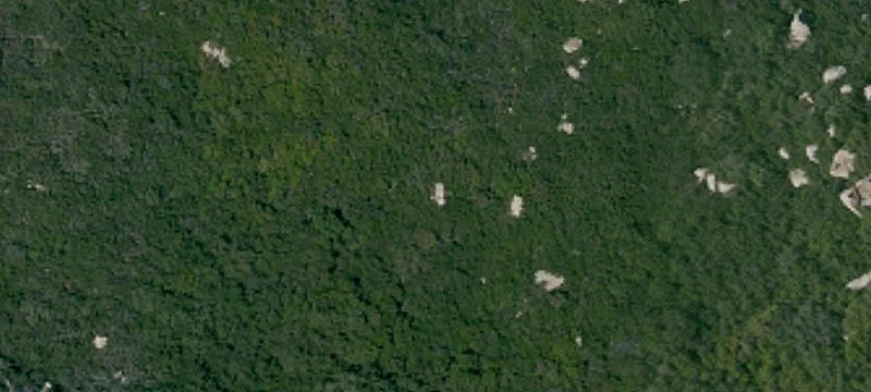Two-Parcel Land Tracts with Forest Backdrop