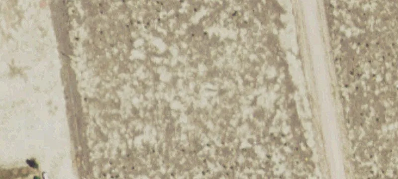 Residential Building Lot