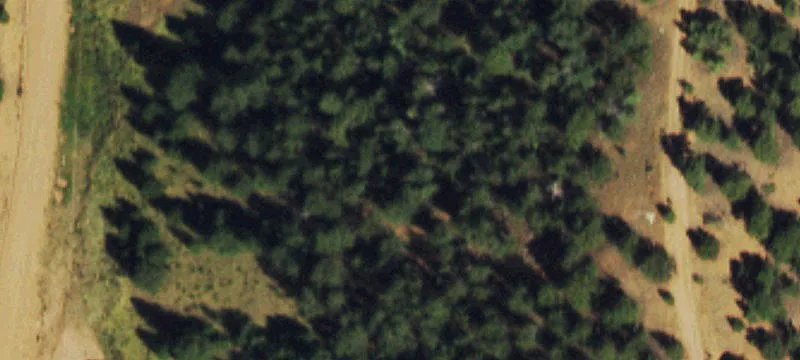 Treed Mountain Home Lot