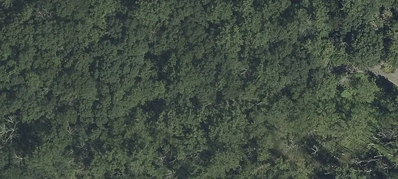 Commercial Land Parcel