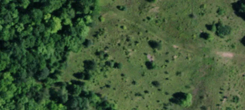 Recreational Hunting Land