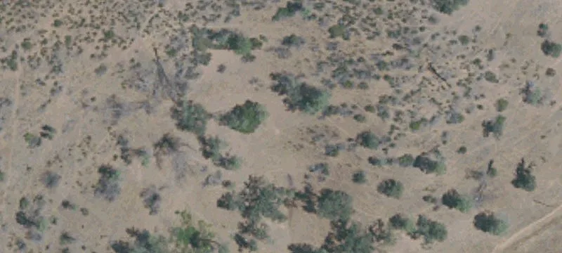 Rolling Hills Recreational Acreage