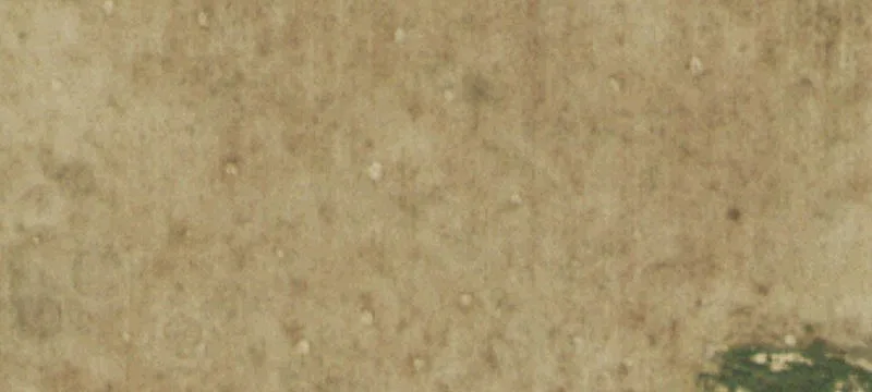 Farm Land Parcel with Lease