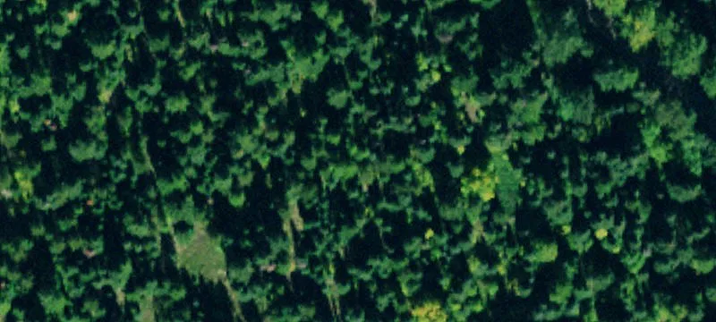 Waterfront Land with Private Dock Access