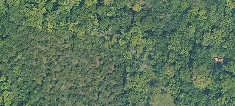 Fully Fenced Agricultural Acreage