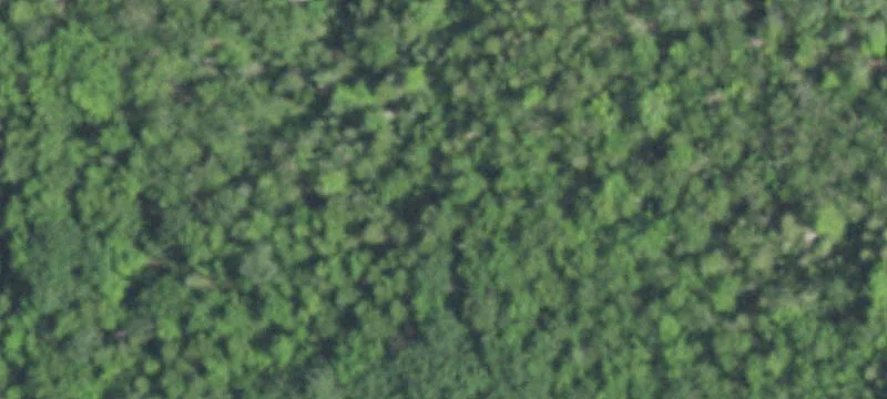 Hunting and Timber Land Parcel