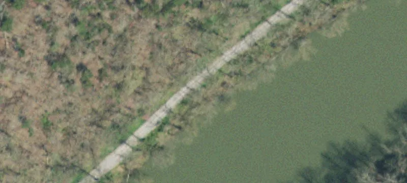 Unrestricted Wooded Farmland Tract