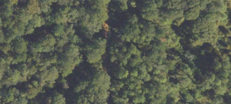 Timbered Hunting and Recreation Land