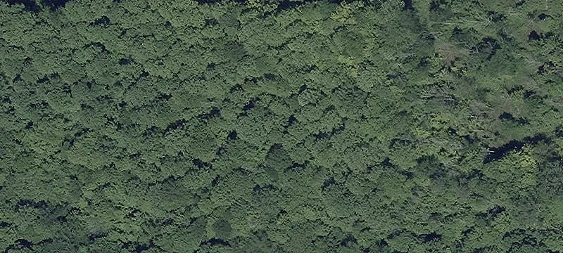 Partially Wooded Country Land