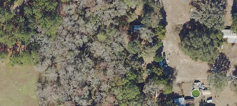 Partially Cleared Residential Lot