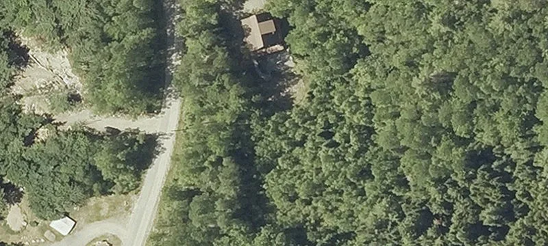 Wooded Corner Lot Home Site