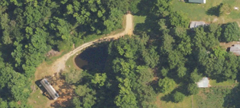 Timberland with Deeded Easements