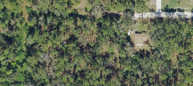 Wooded Hunting Land Lot