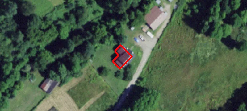 Wooded Hunting Land with Road Access
