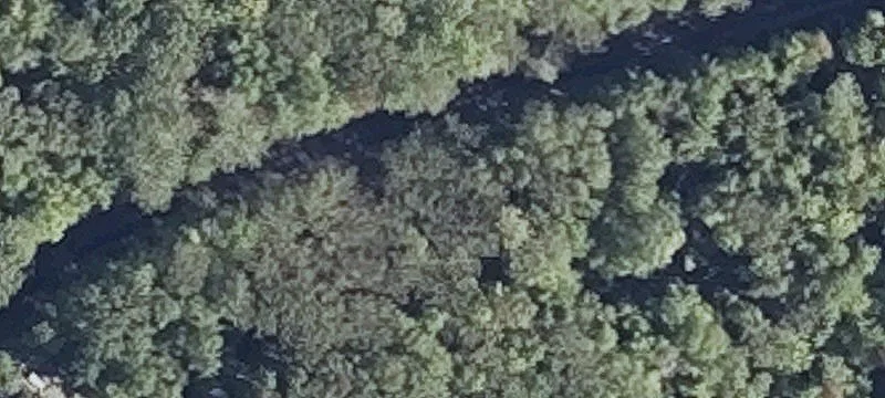 Wooded Residential Land Lot