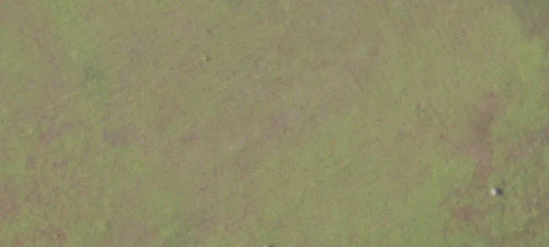 Scenic Riverfront Ranch Land