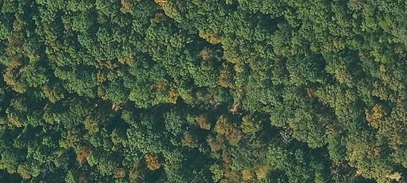 Recreational Hunting Land Tract